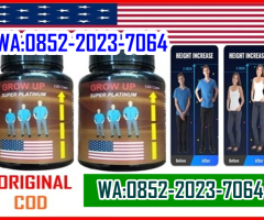 *0852-2023-7064 JUAL OBAT PENINGGI BADAN GROW UP PLATINUM DI BALARAJA - 2